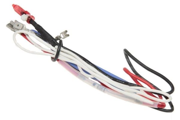 Електрозапобіжник для кавоварки DeLonghi, 5013275529