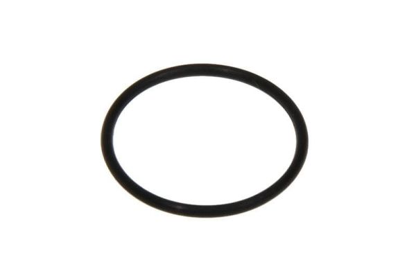 Прокладка O-Ring для кофеварки DeLonghi, 5313214431