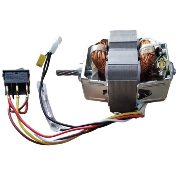 Двигун для м'ясорубки Moulinex SS-1530000501 (PU9830230-8101)